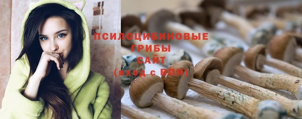 а пвп мука Баксан
