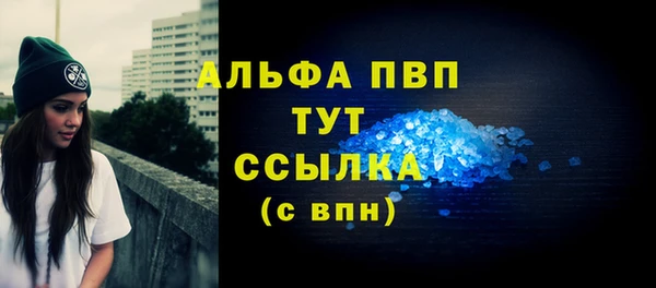 PSILOCYBIN Балабаново