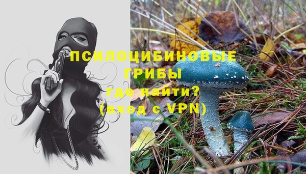 PSILOCYBIN Балабаново