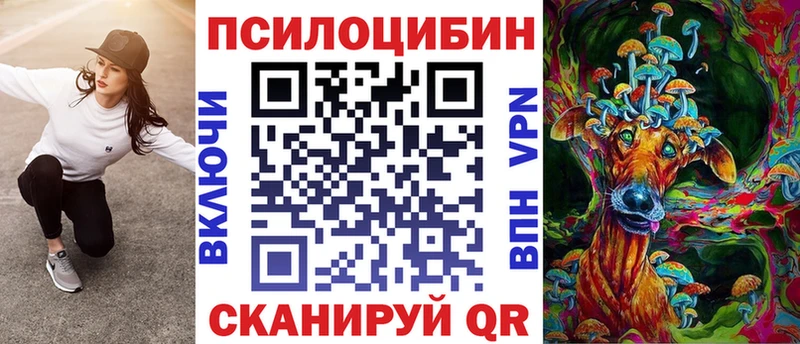 мега вход  Новая Ладога  Псилоцибиновые грибы прущие грибы 